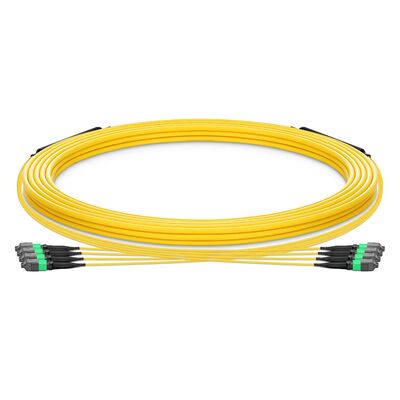 جودة كابل MTP Trunk مع 0.35dB منخفض IL OFNP معدل السلامة من الحرائق و G.657.A1 ثني الألياف غير الحساسة للكابلات عالية الكثافة مصنع